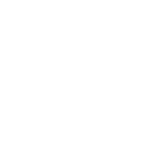 bwt